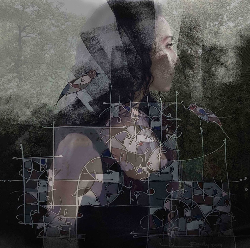 Digital Overlays